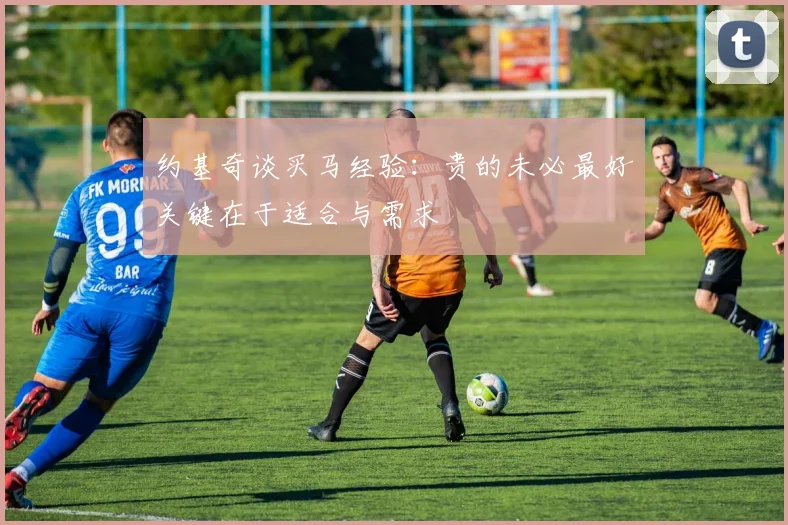 约基奇谈买马经验：贵的未必最好关键在于适合与需求