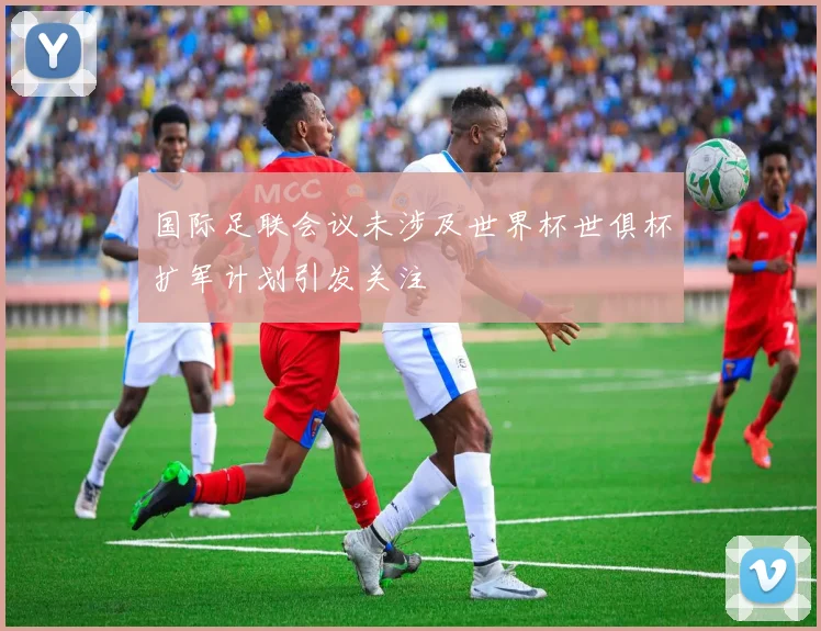国际足联会议未涉及世界杯世俱杯扩军计划引发关注