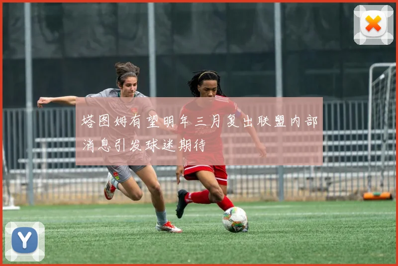 塔图姆有望明年三月复出联盟内部消息引发球迷期待