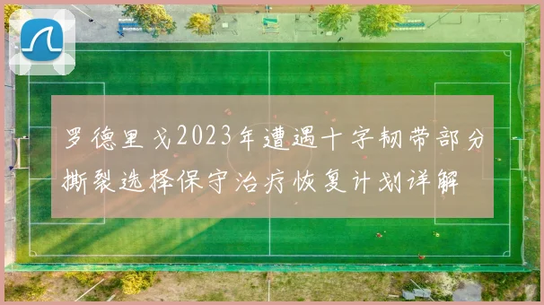 罗德里戈2023年遭遇十字韧带部分撕裂选择保守治疗恢复计划详解